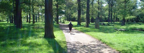 Long distance running