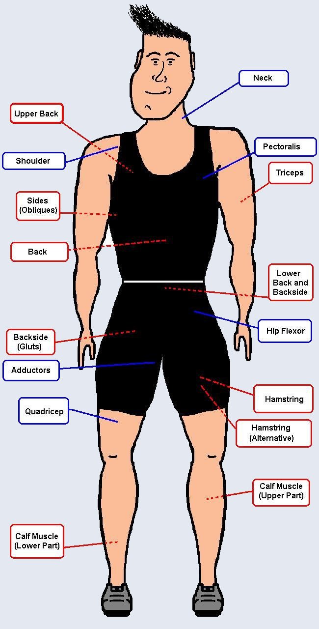 Stretching Diagram